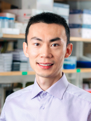 Song, Cheng (Jack), Ph.D.
